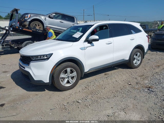 KIA SORENTO LX 2023 5XYRGDLC1PG212359 Image 2