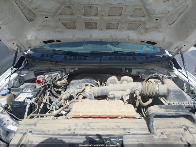 Ford F-150 Xl/xlt 2019 1FTEW1EB9KKC24833 Image 10
