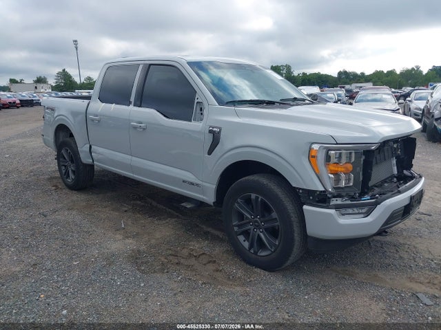Продажа на аукционе авто 2023 Ford F-150 Xlt, vin: 1FTFW1ED0PFC75661, номер лота: 45525330