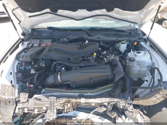 Ford Mustang Ecoboost Fastback 2025 1FA6P8TH5S5130227 Image 10