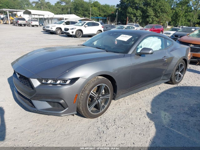 2024 Ford Mustang Ecoboost Fastback მანქანა იყიდება აუქციონზე, vin: 1FA6P8TH5R5135812, აუქციონის ნომერი: 45530017