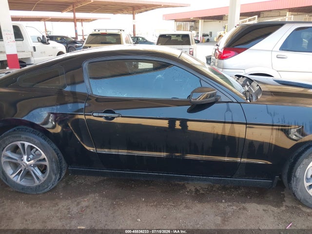 1ZVBP8AM2E5260377 Ford Mustang V6 Premium