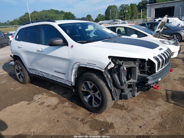 Auction sale of the 2016 Jeep Cherokee Trailhawk, vin: 1C4PJMBS1GW156119, lot number: 45537766