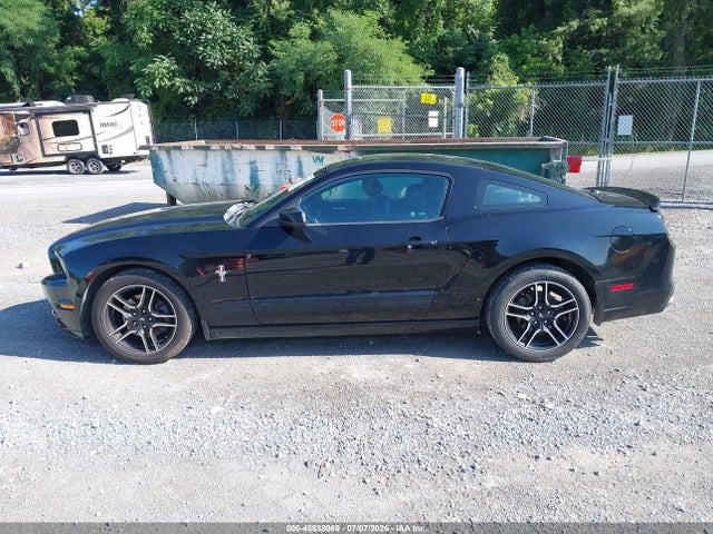 Продажа на аукционе авто 2013 Ford Mustang V6/v6 Premium, vin: 1ZVBP8AM7D5243072, номер лота: 45538069