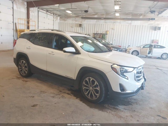 45538535 :رقم المزاد ، 3GKALPEV0KL203151 vin ، 2019 Gmc Terrain Slt مزاد بيع