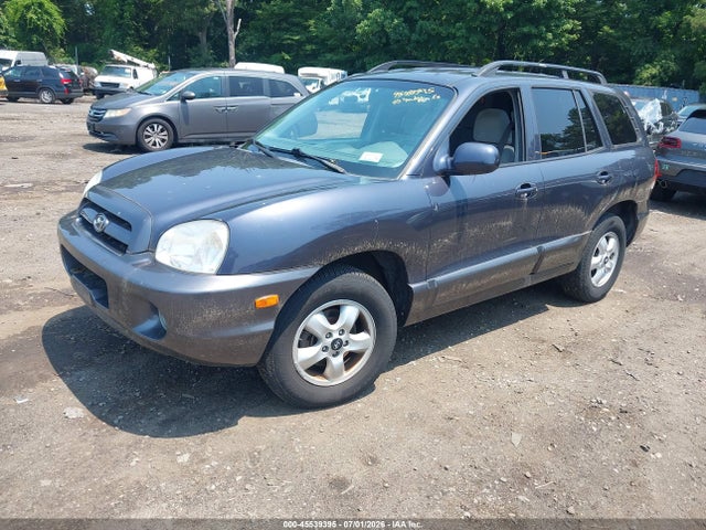 Продаж на аукціоні авто 2005 Hyundai Santa Fe Gls, vin: KM8SC73D95U916453, номер лоту: 45539395