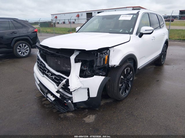 KIA Telluride Sx 2024 5XYP5DGC8RG443950 Image 6