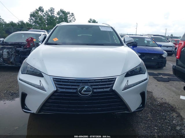 45542593 :رقم المزاد ، JTJDARDZ3L5007007 vin ، 2020 Lexus Nx 300 مزاد بيع