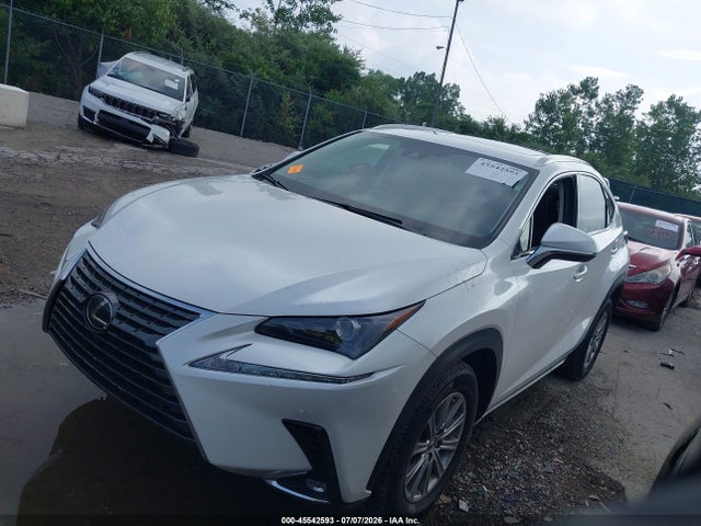 45542593 :رقم المزاد ، JTJDARDZ3L5007007 vin ، 2020 Lexus Nx 300 مزاد بيع