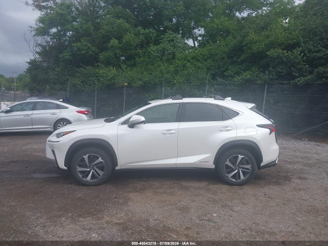 45543218 :رقم المزاد ، JTJBJRBZ9J2080133 vin ، 2018 Lexus Nx 300h مزاد بيع