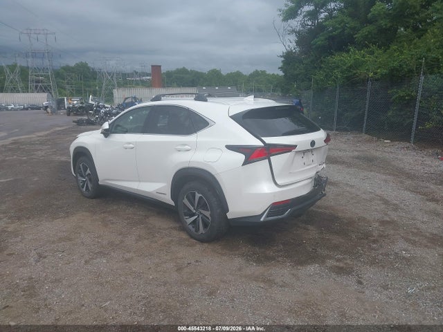 Lexus NX 300H 2018 JTJBJRBZ9J2080133 Image 3