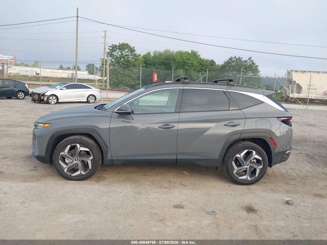 Hyundai Tucson Limited 2024 5NMJECDE6RH374137 Image 14