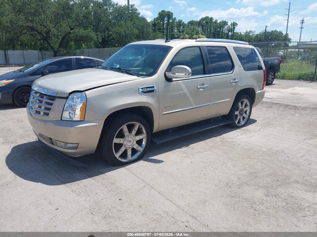 2009 Cadillac Escalade Hybrid Standard მანქანა იყიდება აუქციონზე, vin: 1GYFC43549R113985, აუქციონის ნომერი: 45549797