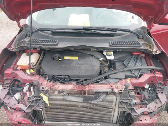 Ford ESCAPE SE 2014 1FMCU0GX0EUC07486 Image 10