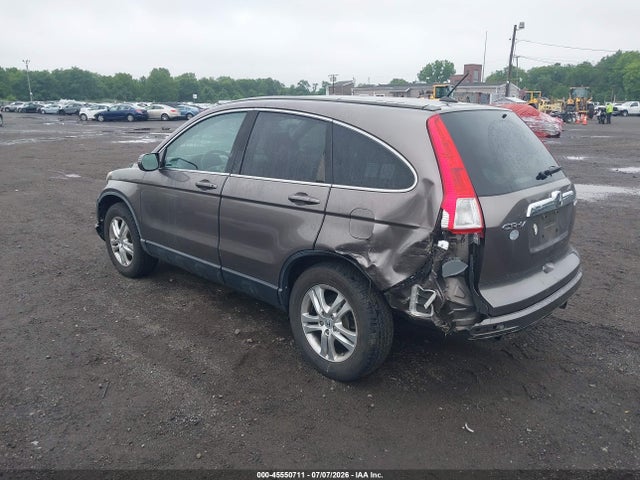 Auction sale of the 2010 Honda Cr-v Ex-l, vin: 5J6RE4H77AL089593, lot number: 45550711
