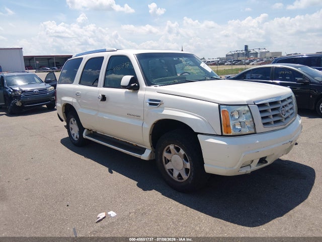 Продаж на аукціоні авто 2002 Cadillac Escalade Standard, vin: 1GYEK63N02R160690, номер лоту: 45551737