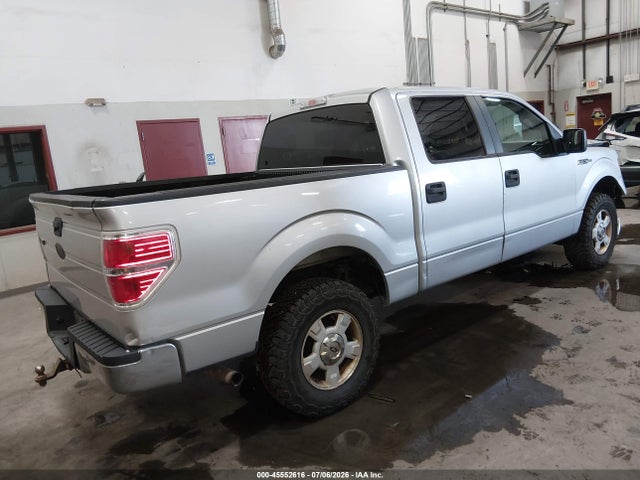 Auction sale of the 2009 Ford F-150 Xl/xlt, vin: 1FTRW14889FB05049, lot number: 45552616