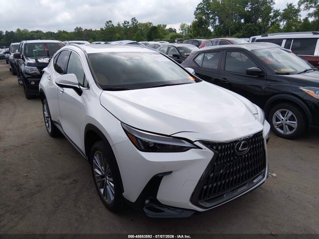 45553592 :رقم المزاد ، 2T2GGCEZ1SC088807 vin ، 2025 Lexus Nx 350 Premium مزاد بيع