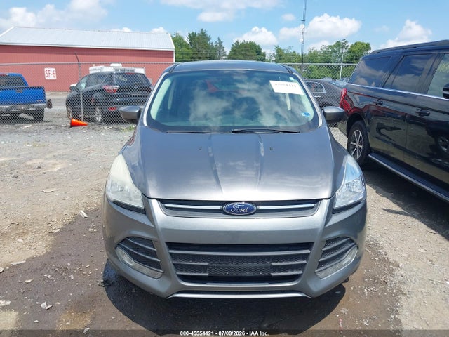 Auction sale of the 2014 Ford Escape Se, vin: 1FMCU0GX7EUB13640, lot number: 45554421