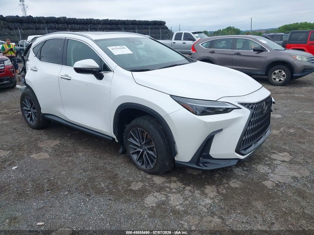 45555490 :رقم المزاد ، 2T2AGCEZ2RC040538 vin ، 2024 Lexus Nx 350 مزاد بيع
