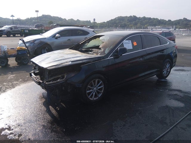 2019 Hyundai Sonata Se მანქანა იყიდება აუქციონზე, vin: 5NPE24AF4KH787406, აუქციონის ნომერი: 45555631
