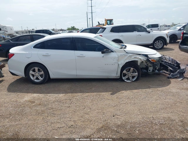Продаж на аукціоні авто 2019 Chevrolet Malibu 1fl, vin: 1G1ZC5ST0KF133496, номер лоту: 45556555