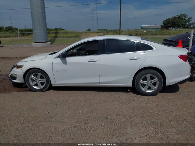 Продаж на аукціоні авто 2019 Chevrolet Malibu 1fl, vin: 1G1ZC5ST0KF133496, номер лоту: 45556555