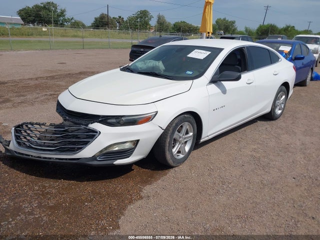 Продаж на аукціоні авто 2019 Chevrolet Malibu 1fl, vin: 1G1ZC5ST0KF133496, номер лоту: 45556555