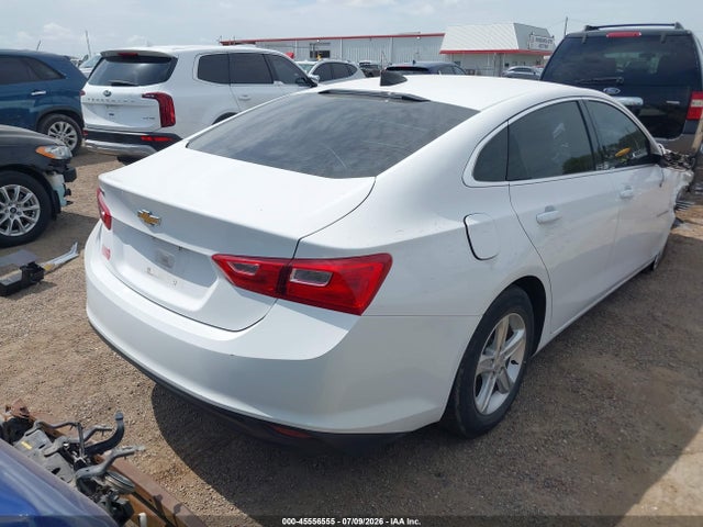 Продаж на аукціоні авто 2019 Chevrolet Malibu 1fl, vin: 1G1ZC5ST0KF133496, номер лоту: 45556555