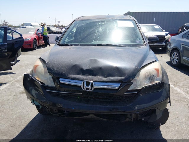 45557492 :رقم المزاد ، 5J6RE48709L055782 vin ، 2009 Honda Cr-v Ex-l مزاد بيع