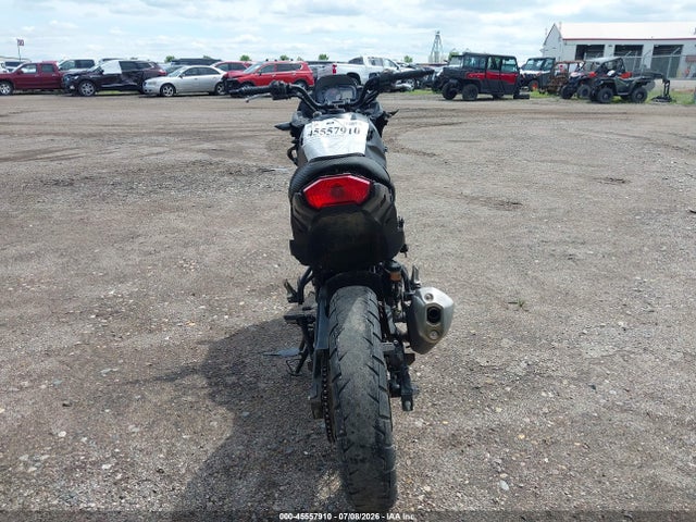 Kawasaki Kle300 C 2017 JKALE8C15HDA00739 Image 6