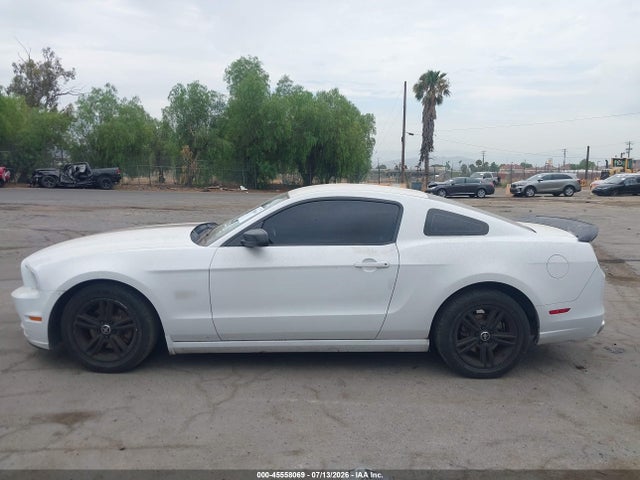 1ZVBP8AM3E5239764 Ford Mustang V6/v6 Premium