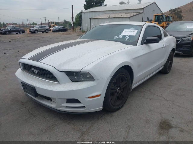 1ZVBP8AM3E5239764 Ford Mustang V6/v6 Premium