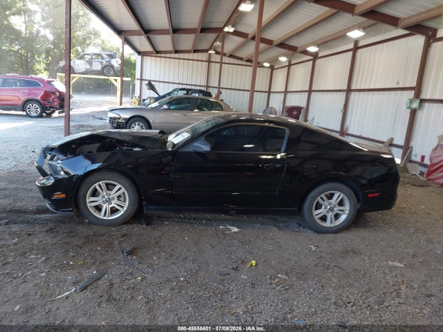 1ZVBP8AM7E5266434 Ford Mustang V6/v6 Premium