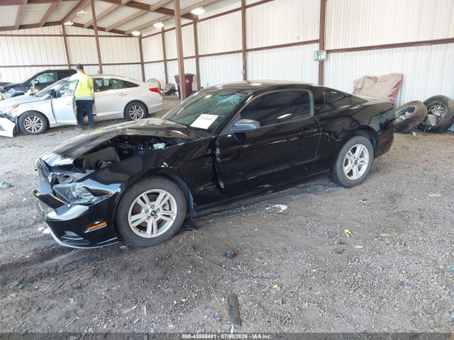 1ZVBP8AM7E5266434 Ford Mustang V6/v6 Premium