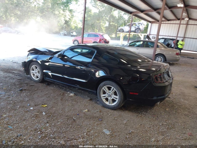 1ZVBP8AM7E5266434 Ford Mustang V6/v6 Premium