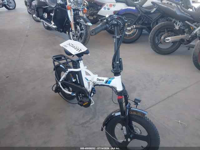 Gopina Electric Bike 2024 MD24009 главное изображение