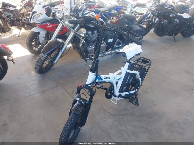 Gopina Electric Bike 2024 MD24009 Image 2