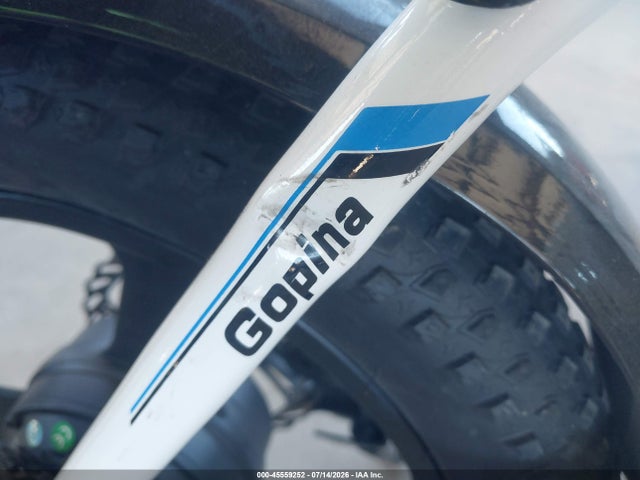 Gopina Electric Bike 2024 MD24009 Image 6