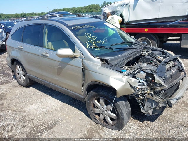 Auction sale of the 2008 Honda Cr-v Ex-l, vin: JHLRE48748C050589, lot number: 45560216