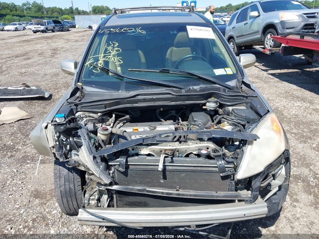 Auction sale of the 2008 Honda Cr-v Ex-l, vin: JHLRE48748C050589, lot number: 45560216