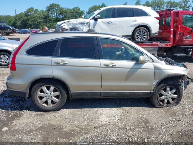 Auction sale of the 2008 Honda Cr-v Ex-l, vin: JHLRE48748C050589, lot number: 45560216