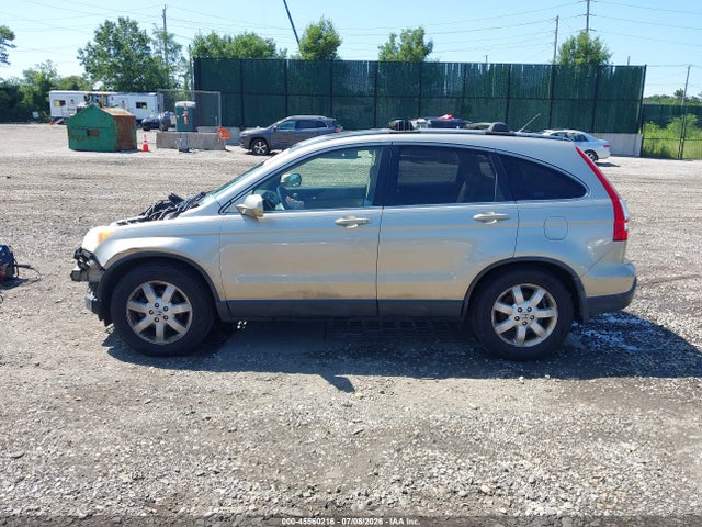 Auction sale of the 2008 Honda Cr-v Ex-l, vin: JHLRE48748C050589, lot number: 45560216
