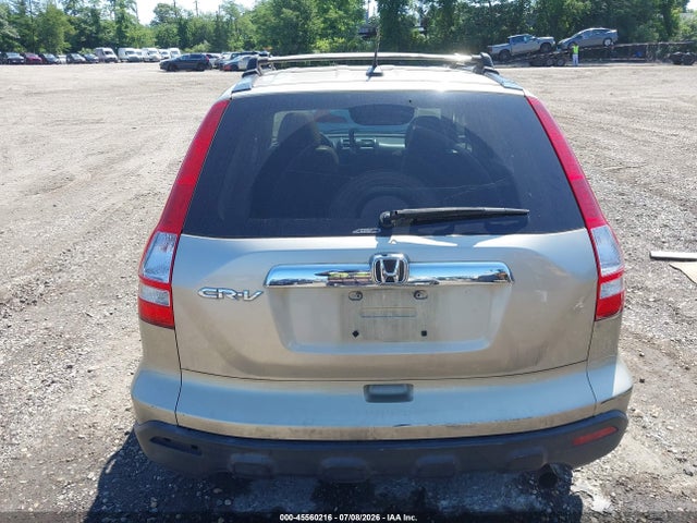 Auction sale of the 2008 Honda Cr-v Ex-l, vin: JHLRE48748C050589, lot number: 45560216