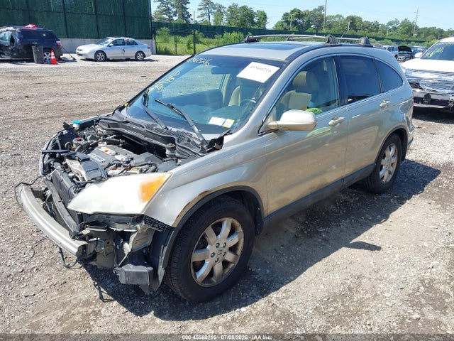 Auction sale of the 2008 Honda Cr-v Ex-l, vin: JHLRE48748C050589, lot number: 45560216