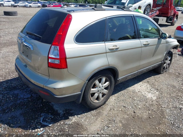 Auction sale of the 2008 Honda Cr-v Ex-l, vin: JHLRE48748C050589, lot number: 45560216