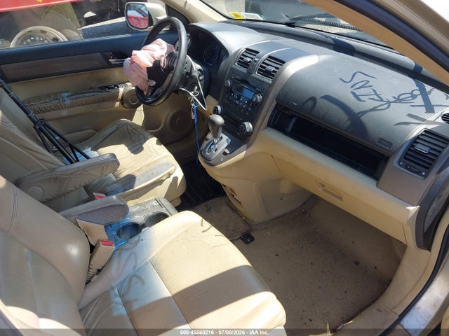 Auction sale of the 2008 Honda Cr-v Ex-l, vin: JHLRE48748C050589, lot number: 45560216
