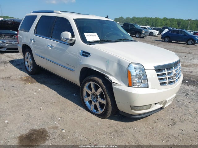 45560280 :رقم المزاد ، 1GYUKBEF2AR270536 vin ، 2010 Cadillac Escalade Luxury مزاد بيع