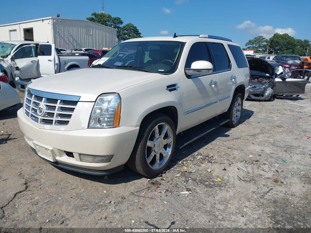 Продажа на аукционе авто 2010 Cadillac Escalade Luxury, vin: 1GYUKBEF2AR270536, номер лота: 45560280