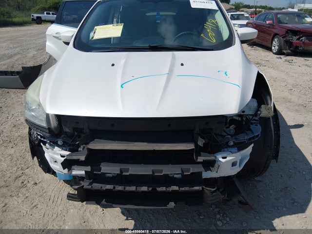 Ford ESCAPE SE 2014 1FMCU9GX6EUB11527 Image 6